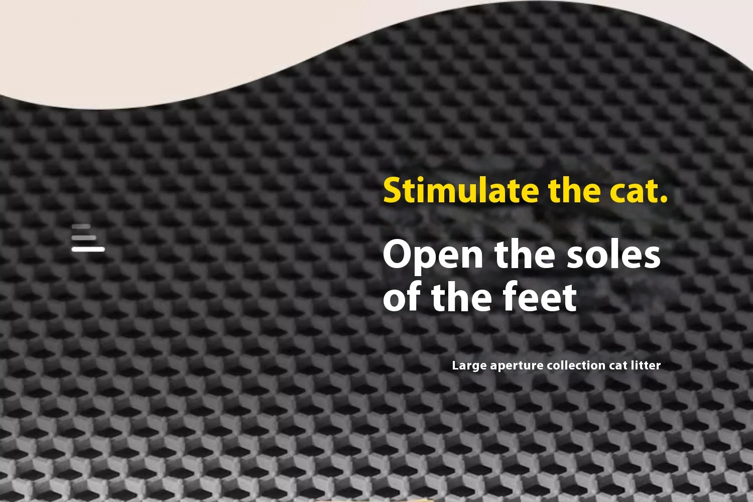 Extra Large Cat Litter Mat Heavy Duty Waterproof 2 Layer Non Slip Washable Pet Floor Protector Litter Box Sand Stopper