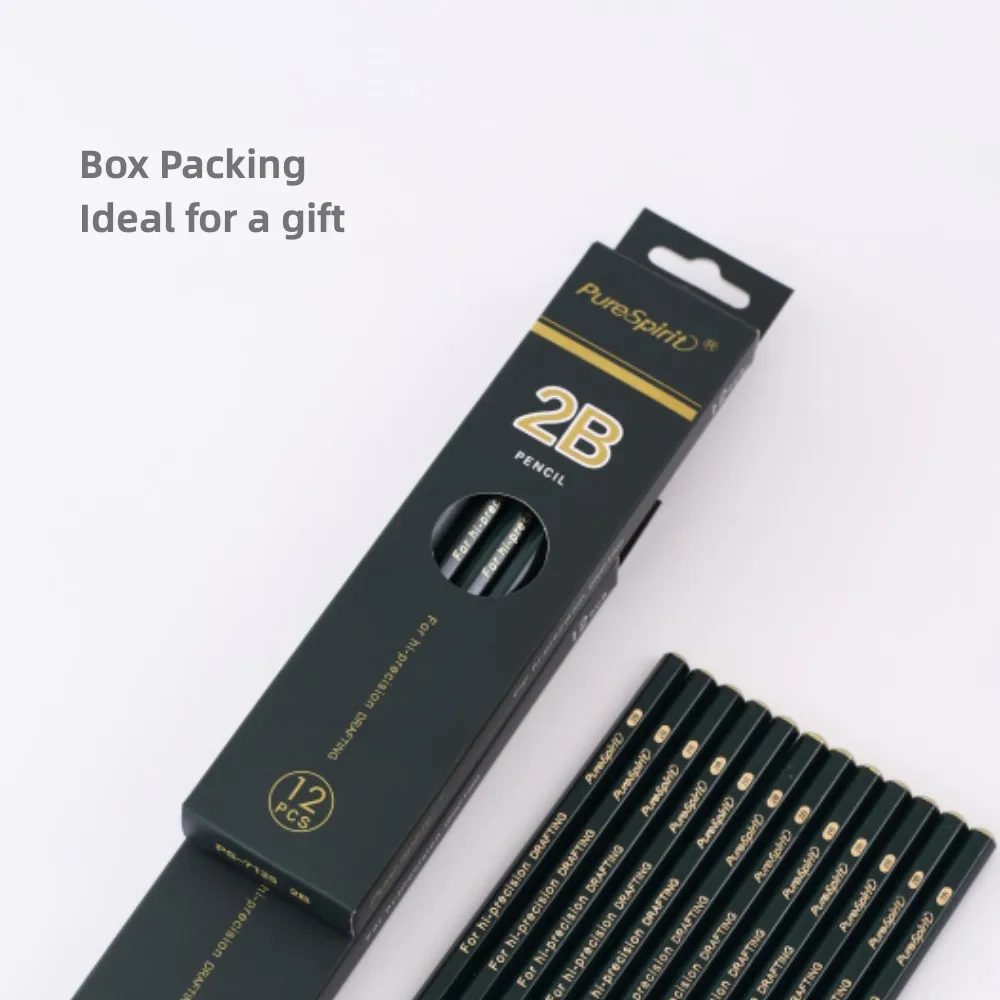 12pcs 2B Graphite Professional Drawing Pencils Sketch Pencil Black Lead Pencils for Sketching