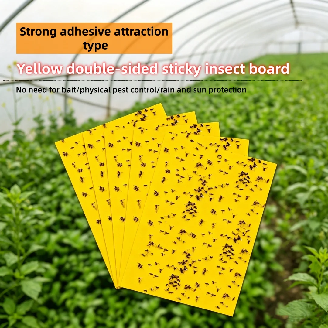 Landisun Fruit Fly Traps Fungus Gnat-Traps for Indoor-Outdoor Yellow Fruit-Fly Sticky-Trap Plants Flying Bug Insects Traps