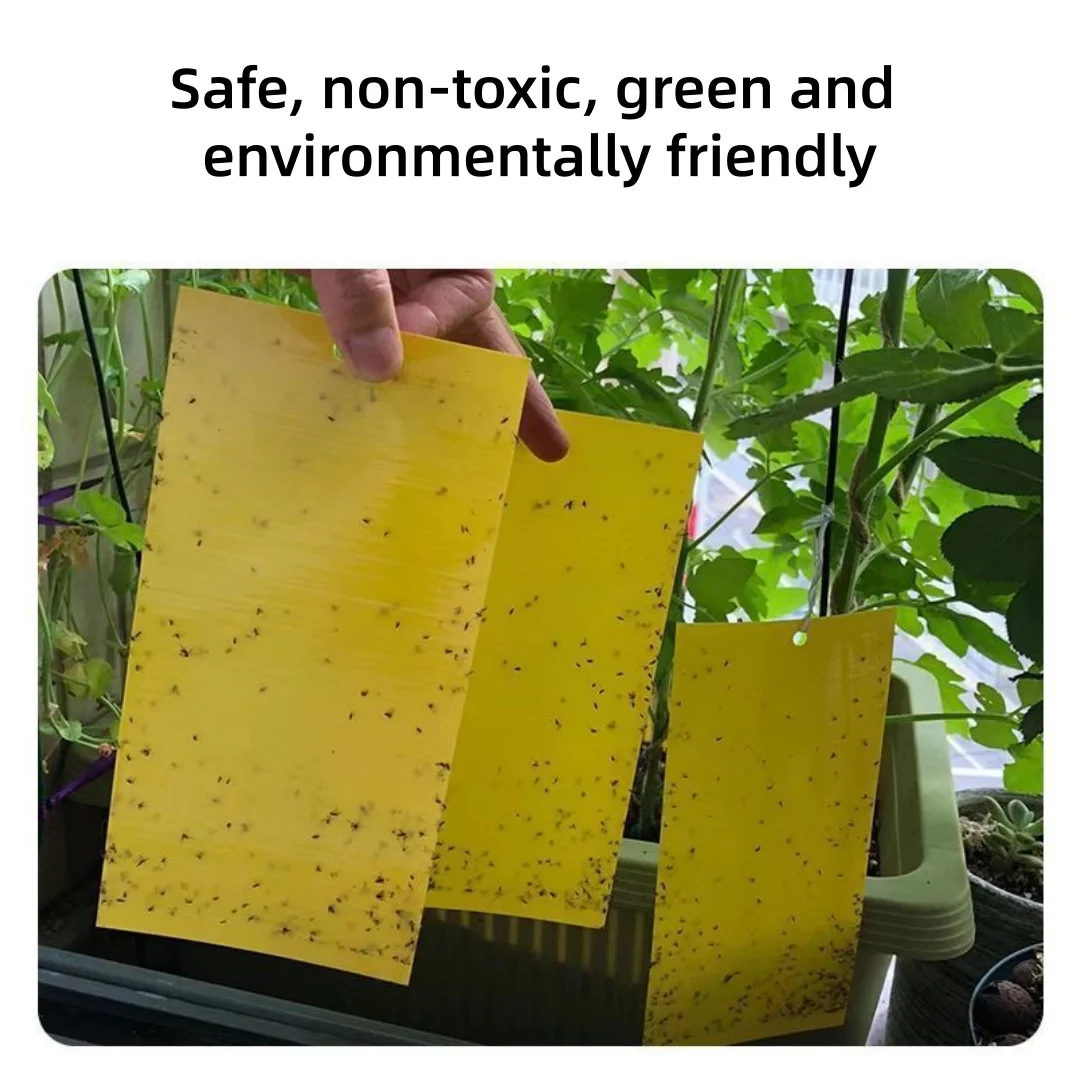Landisun Fruit Fly Traps Fungus Gnat-Traps for Indoor-Outdoor Yellow Fruit-Fly Sticky-Trap Plants Flying Bug Insects Traps