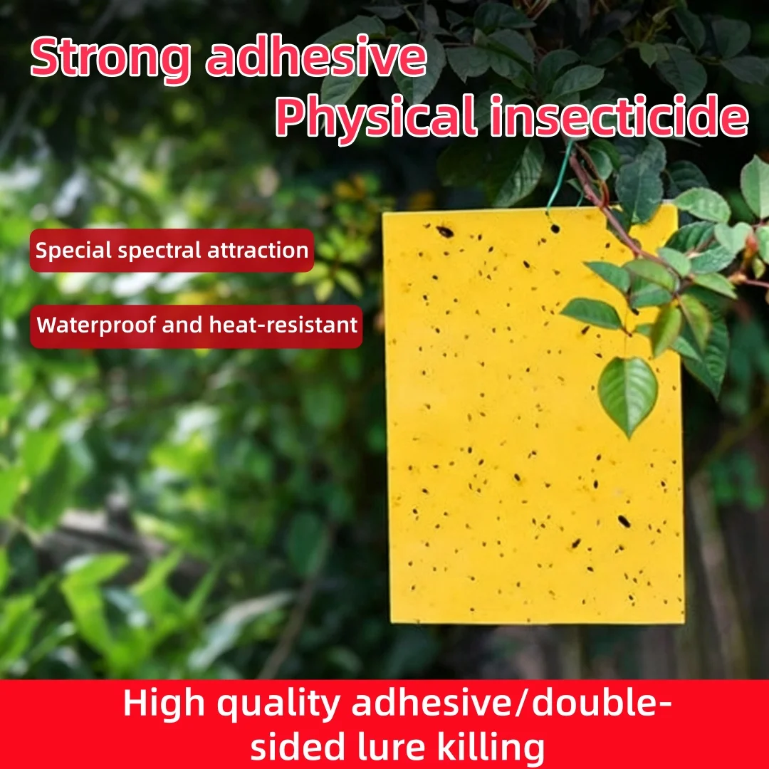 Landisun Fruit Fly Traps Fungus Gnat-Traps for Indoor-Outdoor Yellow Fruit-Fly Sticky-Trap Plants Flying Bug Insects Traps