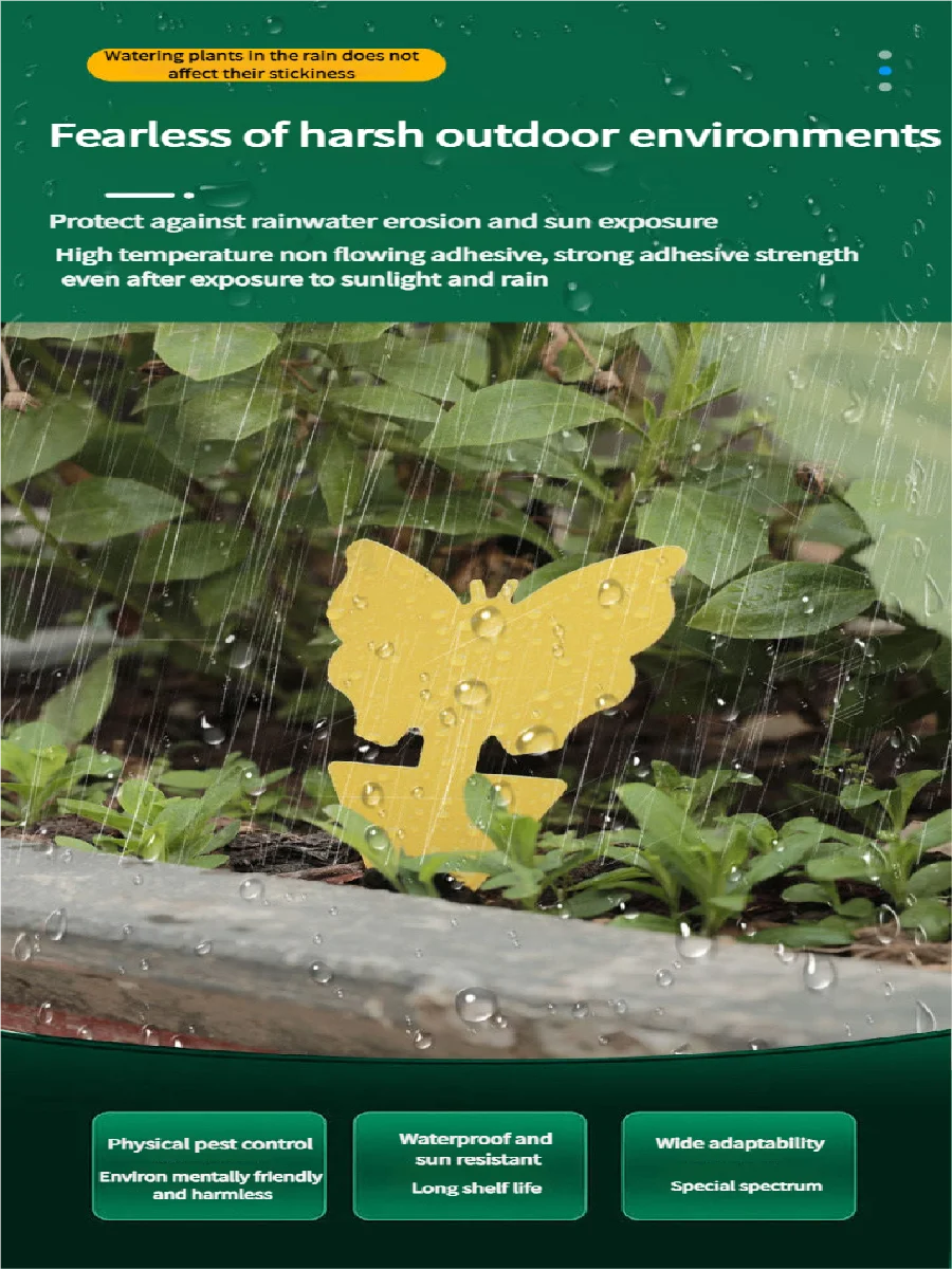 Landisun Fruit Fly Traps Fungus Gnat-Traps for Indoor-Outdoor Yellow Fruit-Fly Sticky-Trap Plants Flying Bug Insects Traps