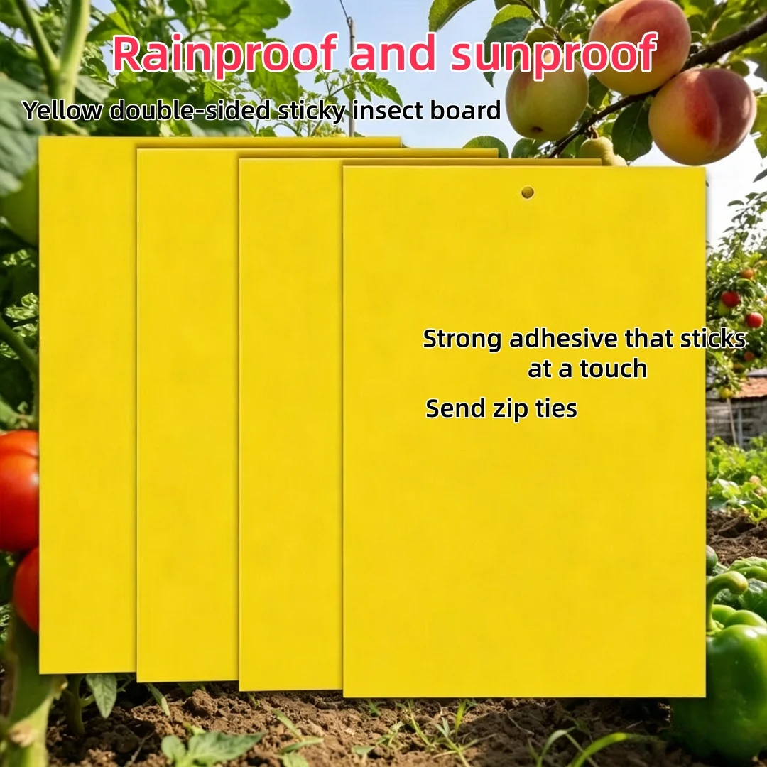 Landisun Fruit Fly Traps Fungus Gnat-Traps for Indoor-Outdoor Yellow Fruit-Fly Sticky-Trap Plants Flying Bug Insects Traps