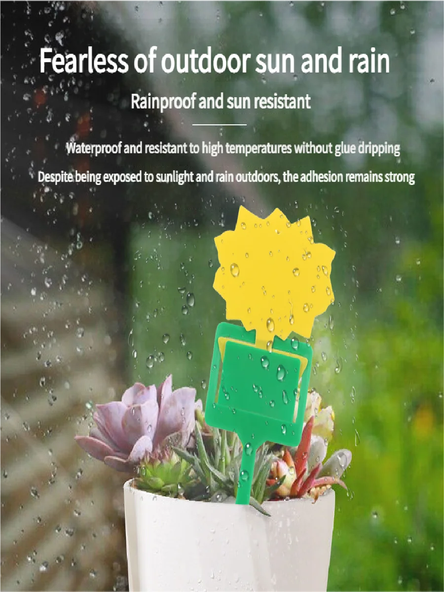 Landisun Fruit Fly Traps Fungus Gnat-Traps for Indoor-Outdoor Yellow Fruit-Fly Sticky-Trap Plants Flying Bug Insects Traps