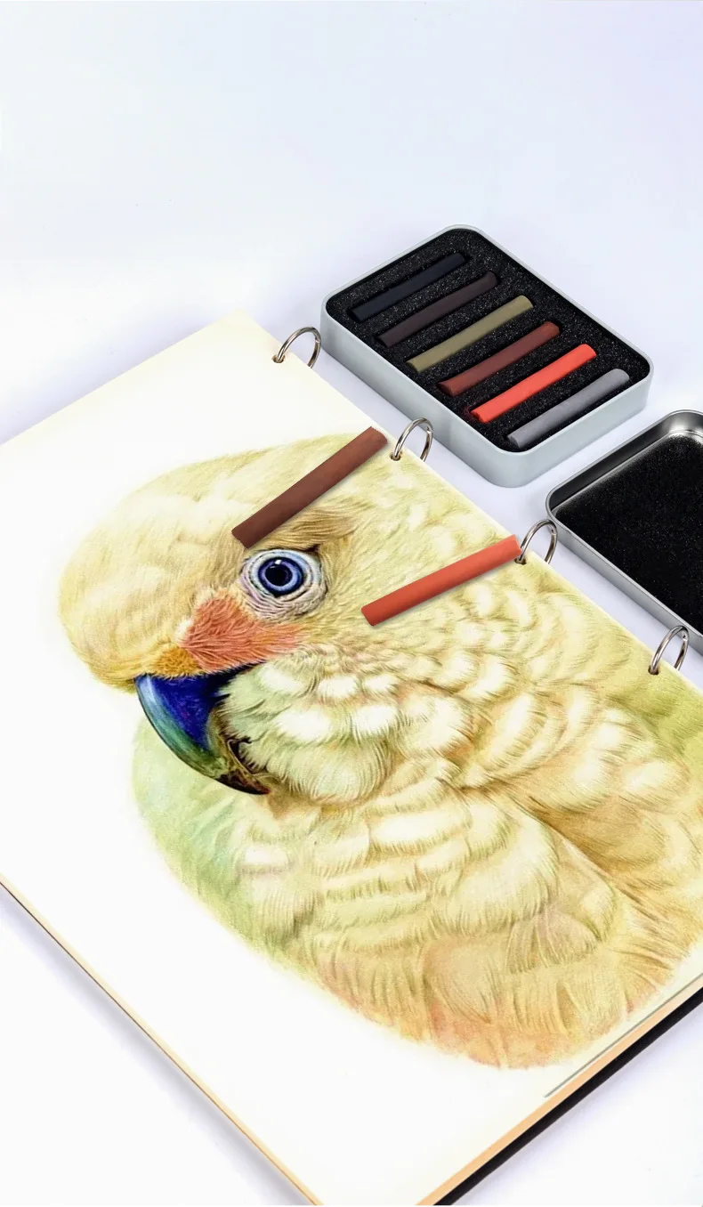 6-color Artist Charcoal Strips Exquisite Tin Box Packaging Sketch Water-soluble Non-cutting Professional Painting Materials