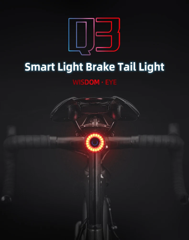ROCKBROS Smart Brake Bicycle Tail Light MTB Road Seatpost Saddle Bike Rear Light Waterproof USB Charging Cycling Taillight