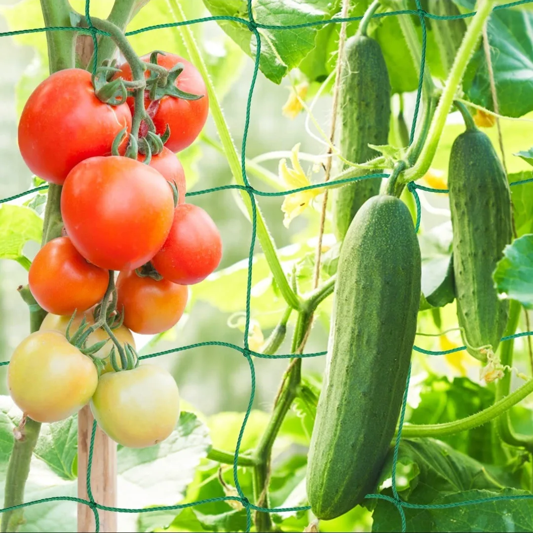 Plant Trellis Pergolas, Heavy-Duty Polyester Grow Net, Garden Trellis Netting With Square Mesh For Climbing Plants, Vegetables,