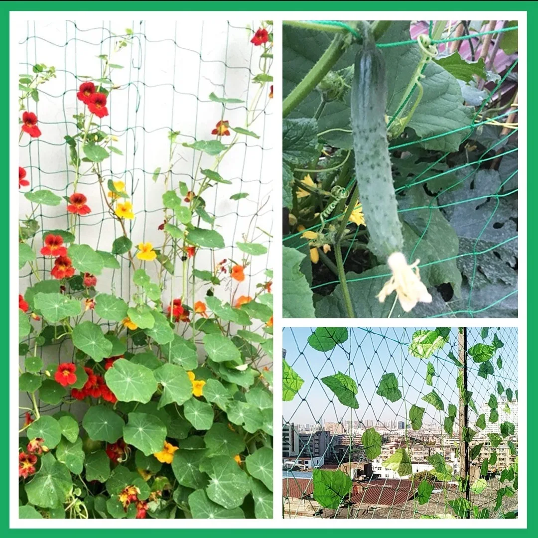 Plant Trellis Pergolas, Heavy-Duty Polyester Grow Net, Garden Trellis Netting With Square Mesh For Climbing Plants, Vegetables,