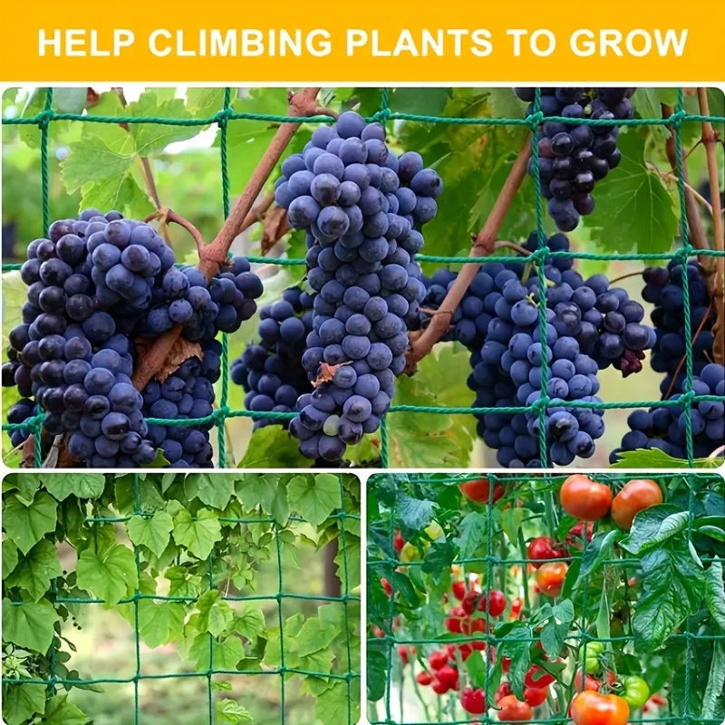 High-quality Garden Climbing Netting Strong Nylon Plant Trellis for Climbing Plants Loofah Morning Glory Flowers Cucumber Vine