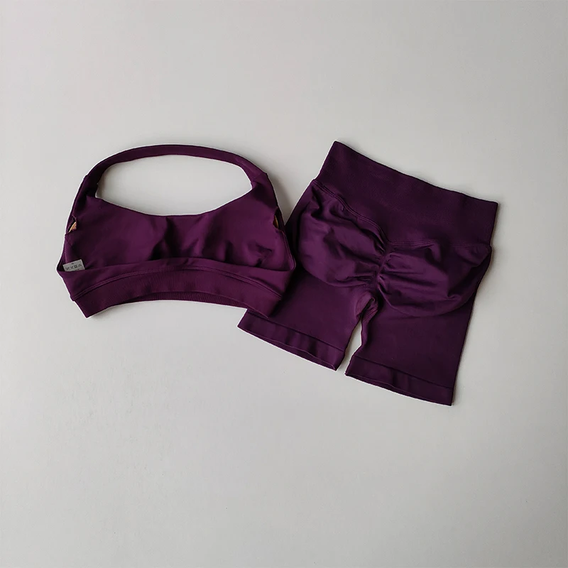 Sexy Halter Neck Beautiful Back High Waist Peach Sports Bras Shorts Suit Pilates Gathering Yoga Vest Training Fitness Bra Sets