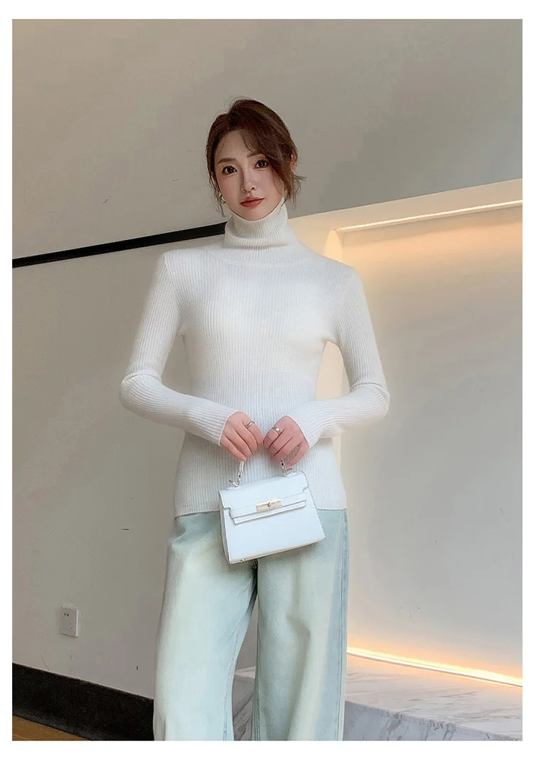 100% Cashmere Sweater Women's Knitted Pullover Sweater High Neck Solid Color Slim Fit Soft Cashmere Basic Women's Sweater