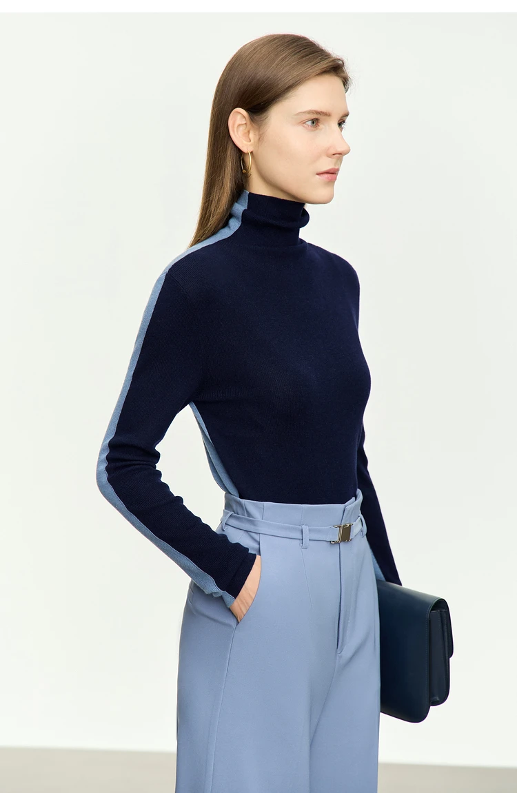 Amii Women Sweaters 2024 Winter Minimalism Long Sleeve High Neck Slim Soft Knit Tops Jumper Patchwork Sweater Clothing 12414019