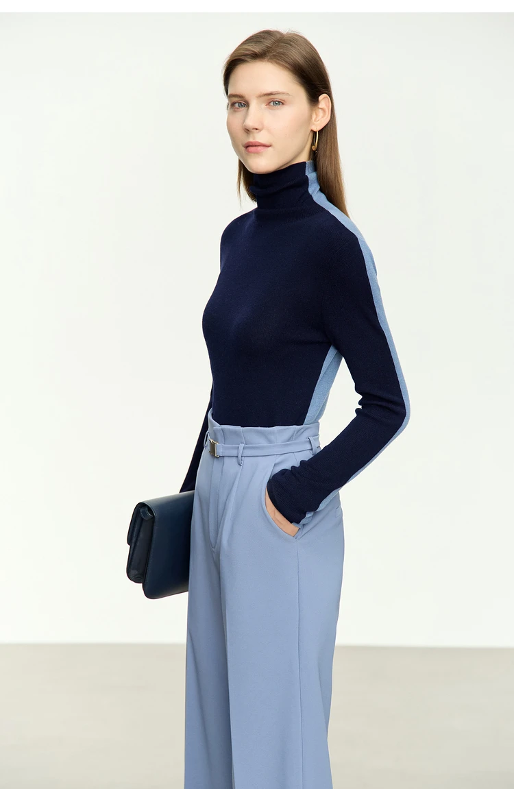 Amii Women Sweaters 2024 Winter Minimalism Long Sleeve High Neck Slim Soft Knit Tops Jumper Patchwork Sweater Clothing 12414019