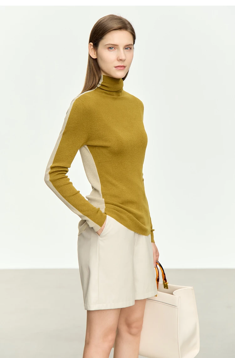 Amii Women Sweaters 2024 Winter Minimalism Long Sleeve High Neck Slim Soft Knit Tops Jumper Patchwork Sweater Clothing 12414019