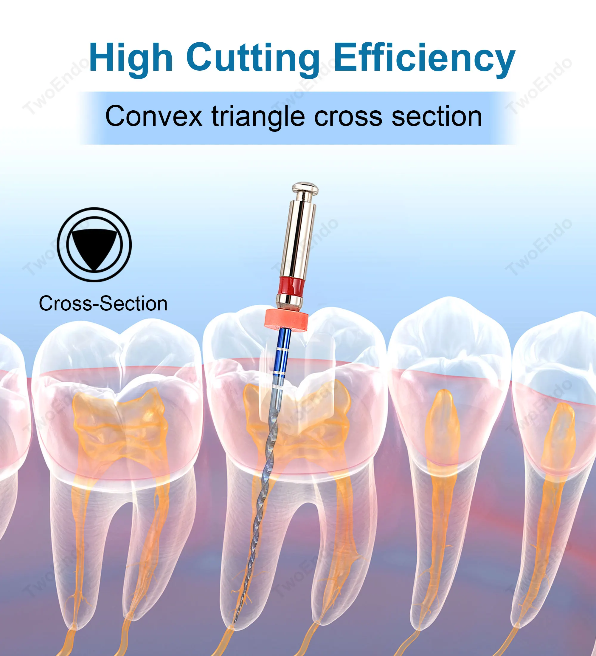 Dental Endo Blue Rotary Files Endodontic Files Nickel Titainium Instrument For Root Canal Treatment