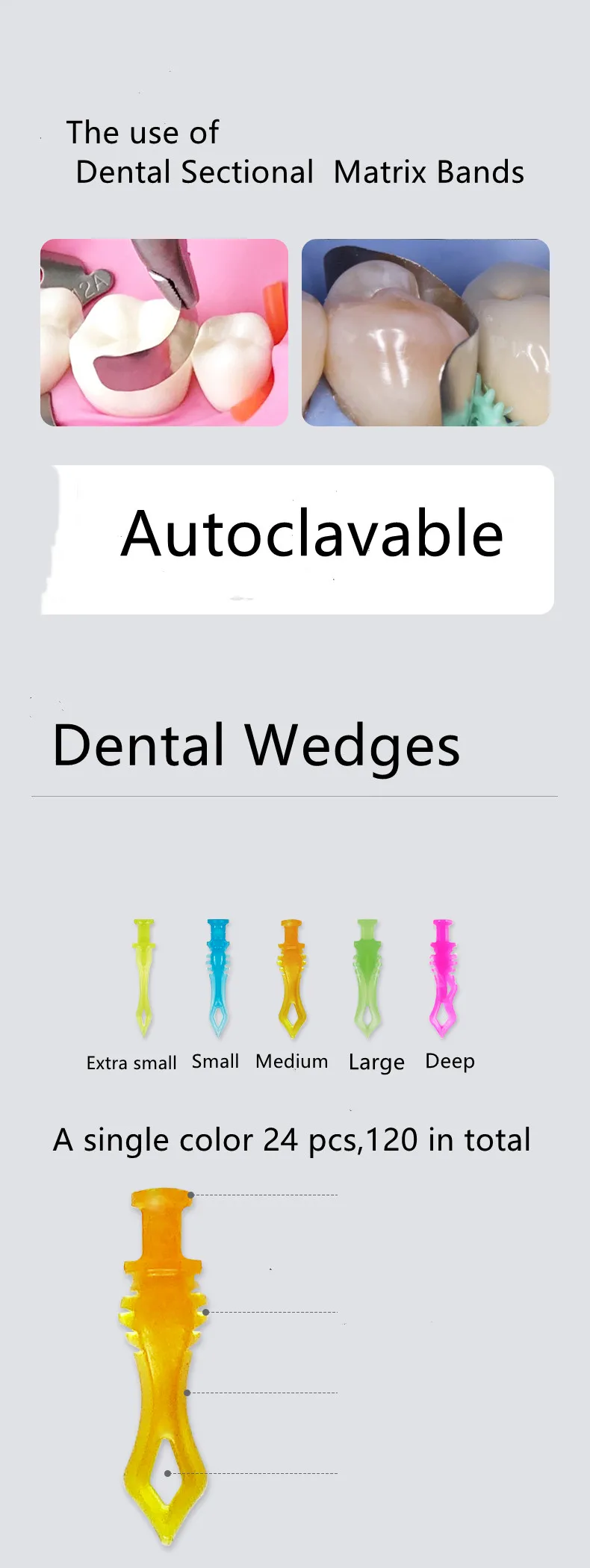 Dental Matrix Sectional Contoured Metal Matrices Matrix System Clamping Ring Wedge Knife Adaptive Interdental Wedge Dental Plier