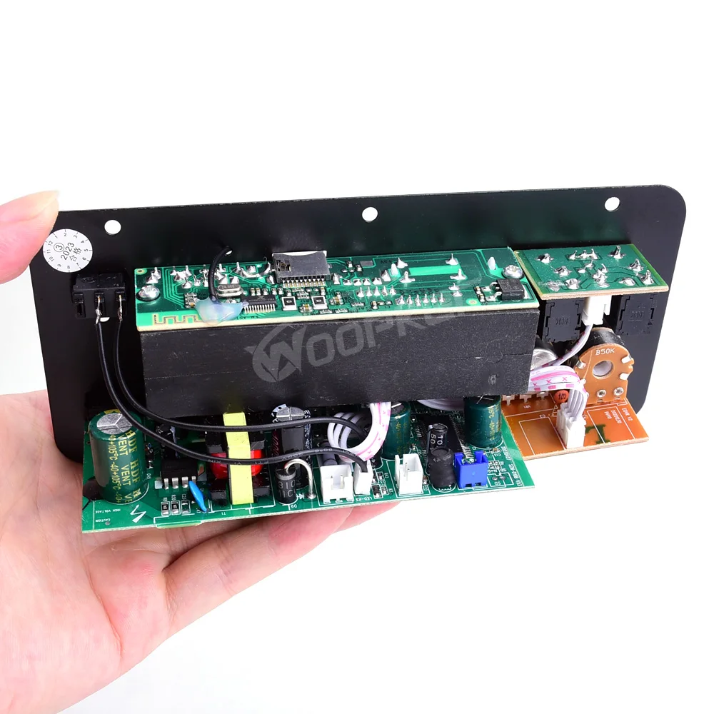 Woopker 300W Bluetooth Audio Amplifier Board D100 Subwoofer Dual Microphone AMP Module 12V 24V 220V Medie Player