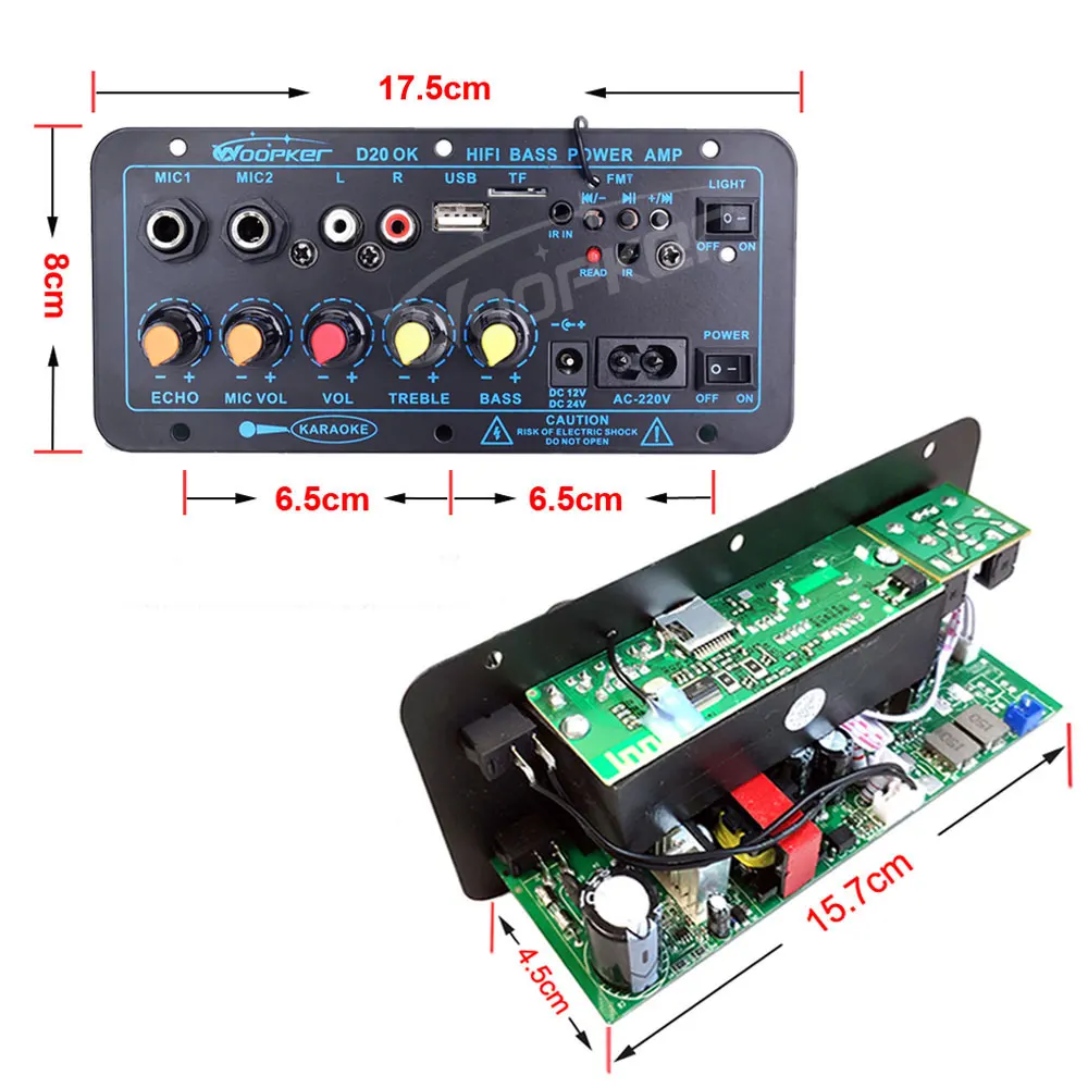 Woopker 300W Bluetooth Audio Amplifier Board D100 Subwoofer Dual Microphone AMP Module 12V 24V 220V Medie Player