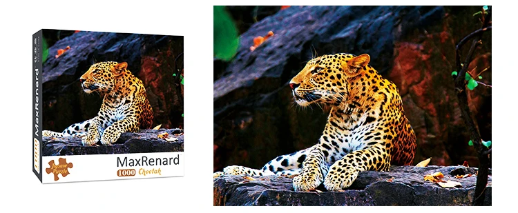 MaxRenard 50*70cm Jigsaw Puzzles 1000 Pieces Assembling Picture Van Gogh Painting Starry Night Art Puzzles Toys for Adults Games