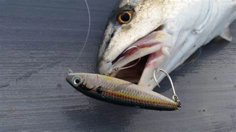 2/0 1/0 1 2 3 4 Big Eye Single Hook Inline FishHooks 12pcs/pack For Live Bait And Hardbait Single Fishing Hooks