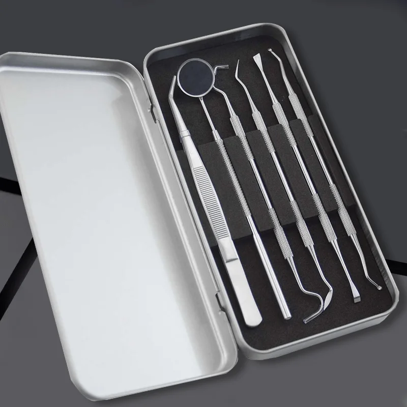 Reusable Portable Dental Oral Care Kit Teeth Cleaning Tools Set Professional Dentist Instruments for Home Travel Daily Use