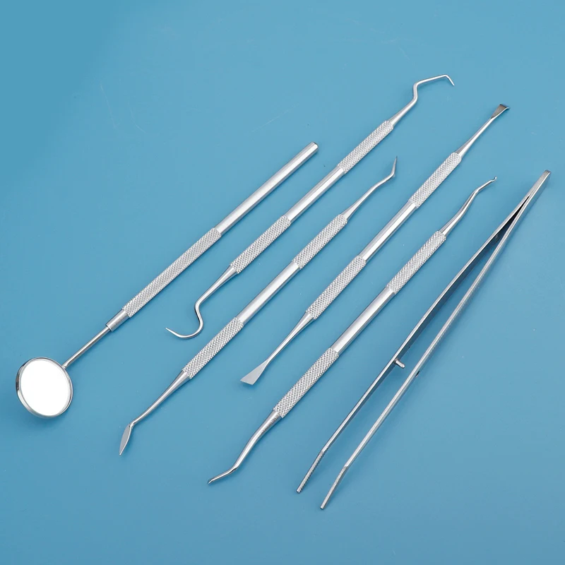 Reusable Portable Dental Oral Care Kit Teeth Cleaning Tools Set Professional Dentist Instruments for Home Travel Daily Use