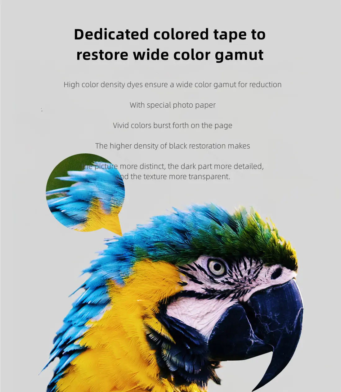 MIjia Photo Printer Dedicated 6-inch 80 pcs Back Self-adhesive Photo Paper Colored Tape Set HD Protective Film Photo Papers