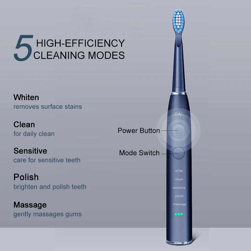 Seago Electric Toothbrush USB Rechargeable Adult 360 Days Long Battery Life IPX7 4 Replacement Heads Travel Box  SG-575