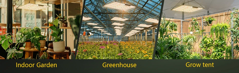 LED Grow Light 500W 600W 800W 1000W Diode Full Spectrum Silent Quantum Board Used for Greenhouse Tent Hydroponic Plant