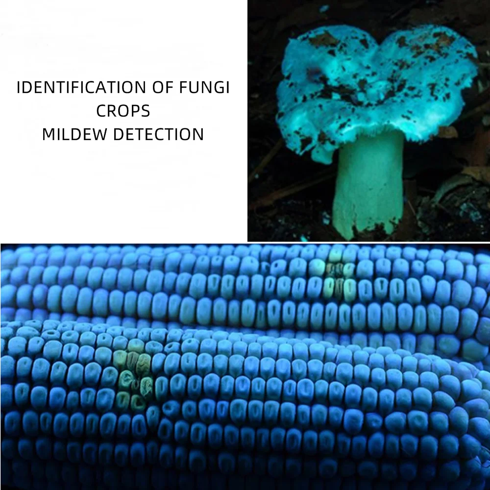 Alonefire SV53 20W 365nm High Power UV Flashlight Ultraviolet Blacklight Detector Money Pet Urine Dry Stains Bed Bug Scorpions