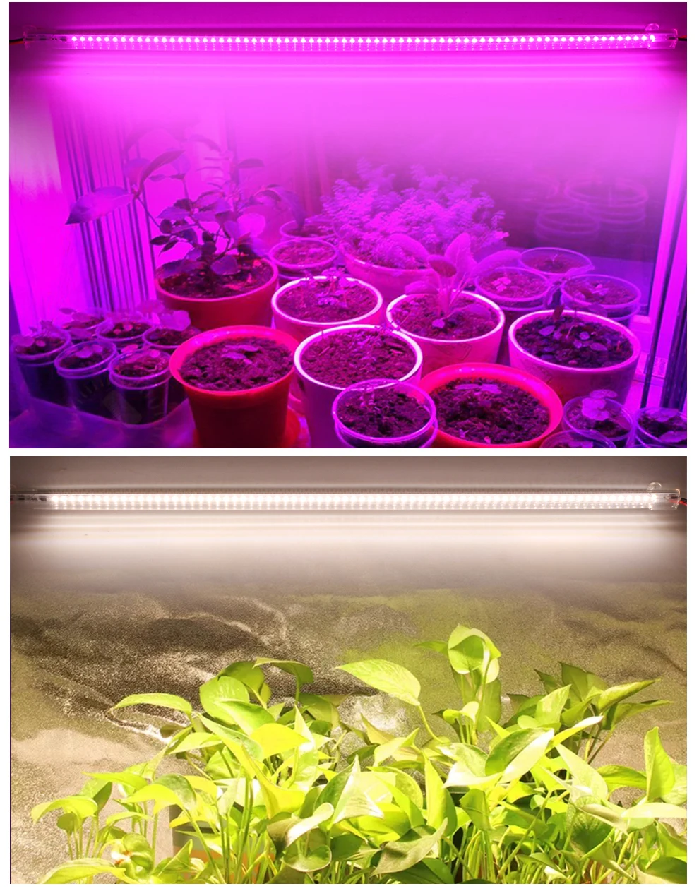 Grow Light 220V Full Spectrum LED Bar Light for Plants 50cm Phyto Lamp for Plant Veg Flowers Greenhouse Tent 4000K 380-780nm