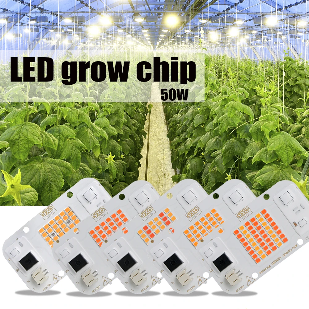 YXO Hydroponice AC 220V 20w 30w 50w Dob Cob LED Grow Light Chip Full Spectrum 380nm-780nm For Indoor Plant Seedling Grow Flower