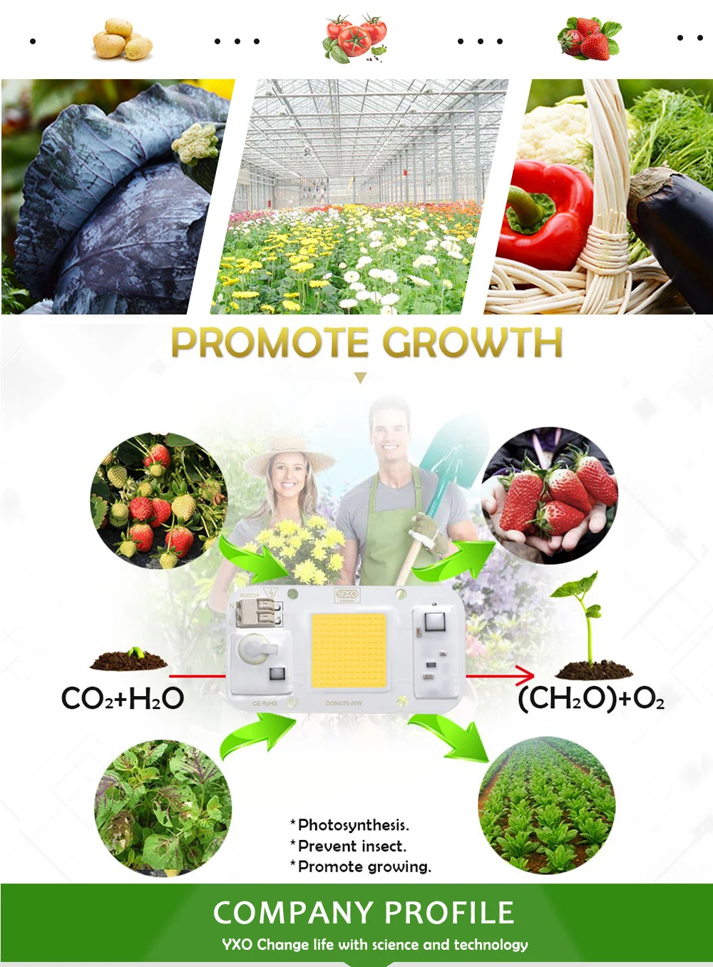 YXO Hydroponice AC 220V 20w 30w 50w Dob Cob LED Grow Light Chip Full Spectrum 380nm-780nm For Indoor Plant Seedling Grow Flower