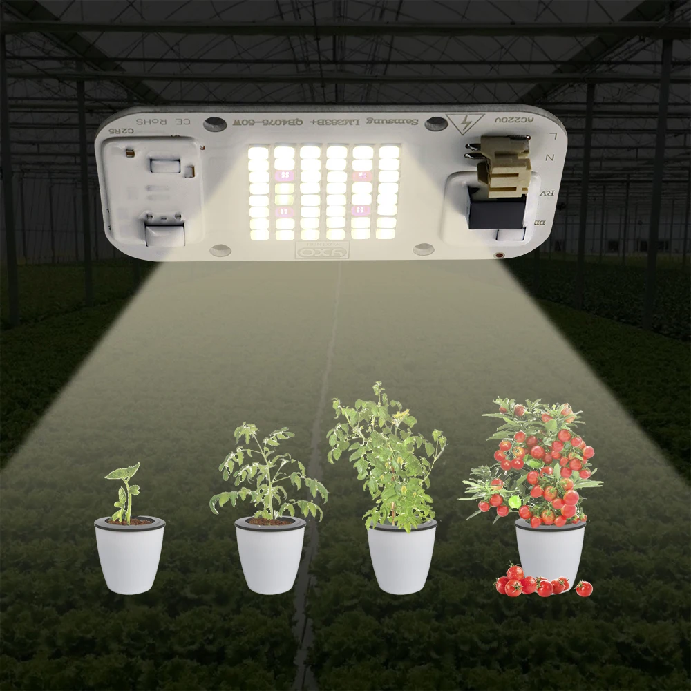 YXO Hydroponice AC 220V 20w 30w 50w Dob Cob LED Grow Light Chip Full Spectrum 380nm-780nm For Indoor Plant Seedling Grow Flower