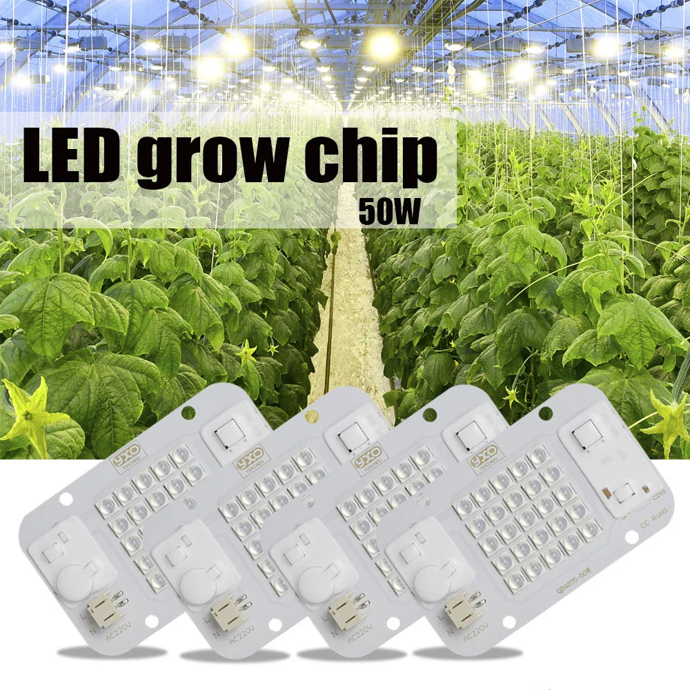 YXO Hydroponice AC 220V 20w 30w 50w Dob Cob LED Grow Light Chip Full Spectrum 380nm-780nm For Indoor Plant Seedling Grow Flower