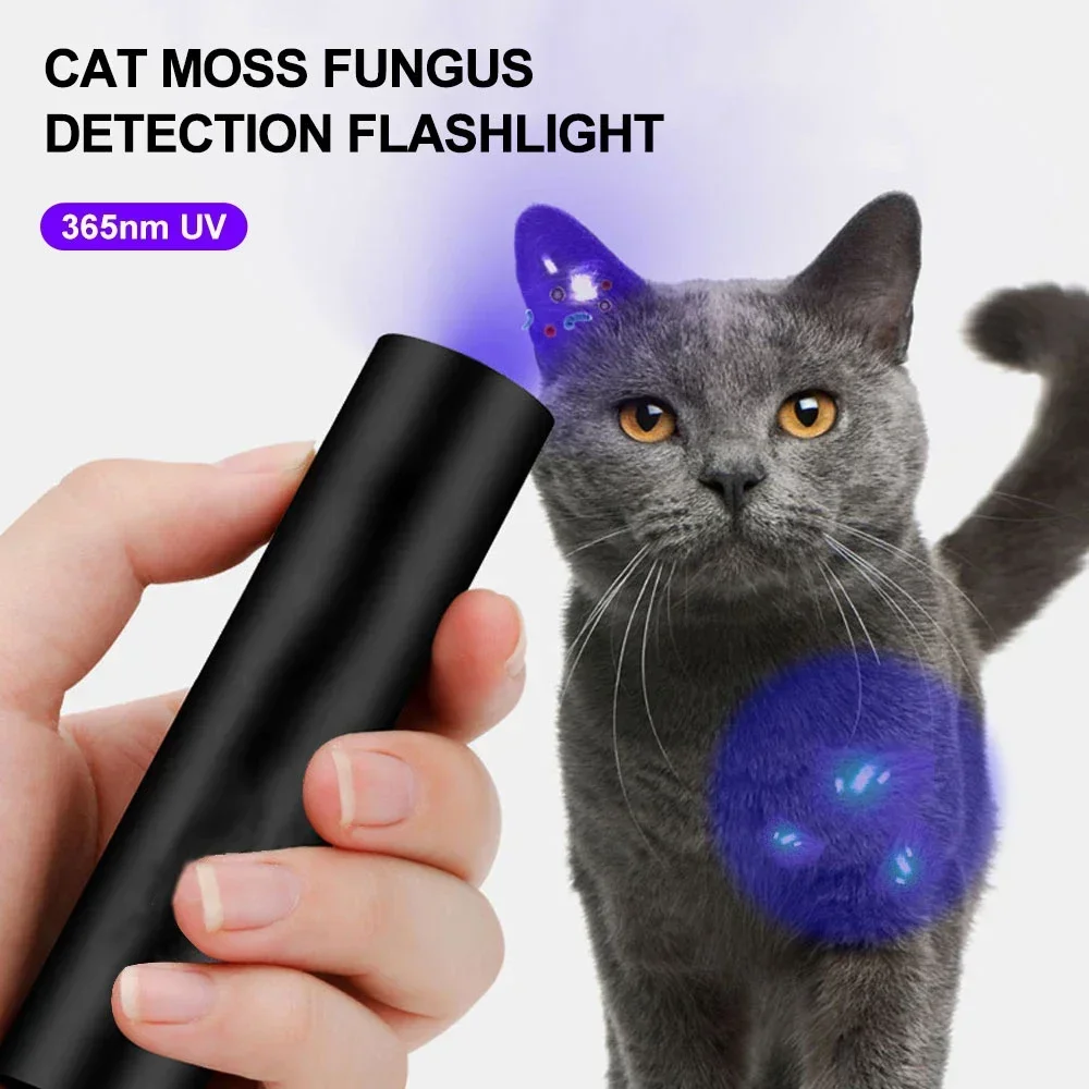 USB Rechargeable Mini 365nm UV Flashlight 3W Ultraviolet Torch Pets Urine Cat Tinea Money Ore Scorpion Detection Flashlights