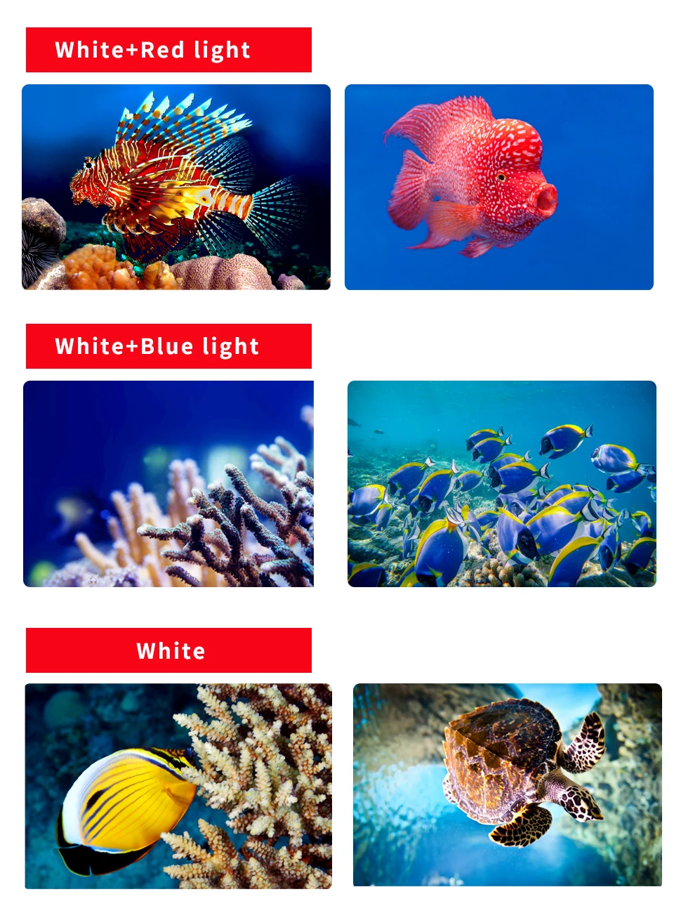 Professional Underwater 27 LED Photography Light Highlight Lamp 20000Lumens Diving Flashlight 100M Waterproof Video Camera Torch