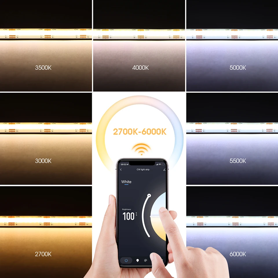 Mini Led Controller DC12V 24V Dimmer RGB /Single Color /CCT COB Strip Light Controller Alexa Google Assistant Voice Control