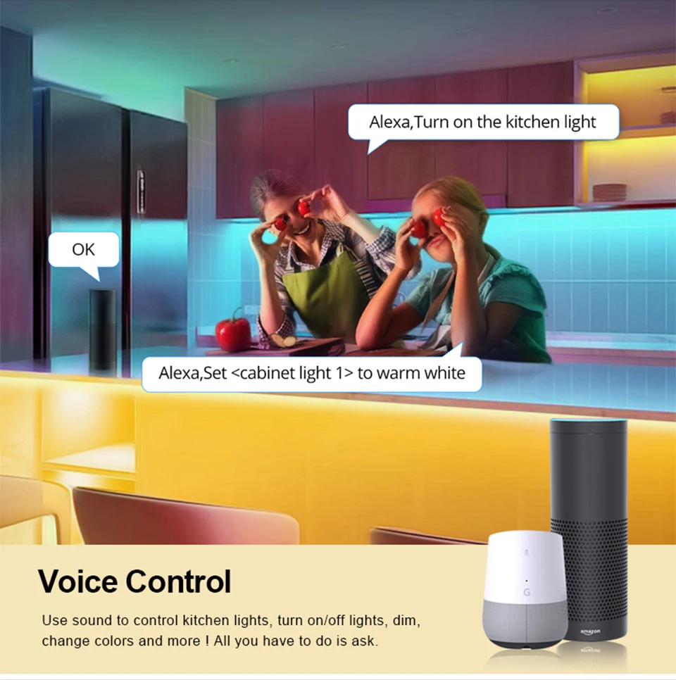 Mini Led Controller DC12V 24V Dimmer RGB /Single Color /CCT COB Strip Light Controller Alexa Google Assistant Voice Control