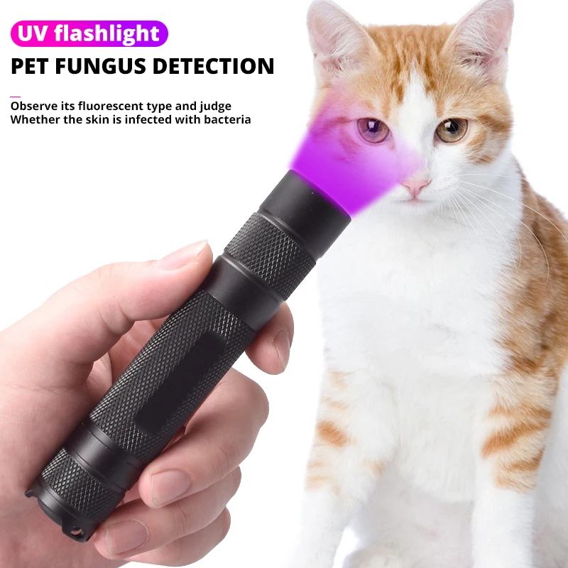 2024 New 80W 365nm UV Flashlight USB Rechargeable UV Light Powerful Black Light Flashlight for Pet Urine Detection, Resin Curing