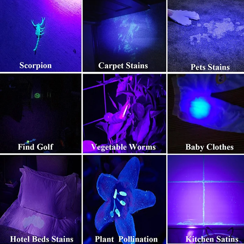 2024 New 80W 365nm UV Flashlight USB Rechargeable UV Light Powerful Black Light Flashlight for Pet Urine Detection, Resin Curing