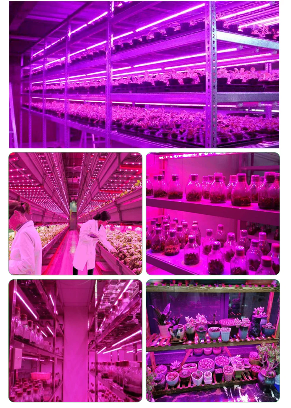 5V Plant Light Grow LED Strip 5V USB LED 1-5m Full Spectrum LED Chip For Greenhouse Flower Seedling Grow Tent Hydropon