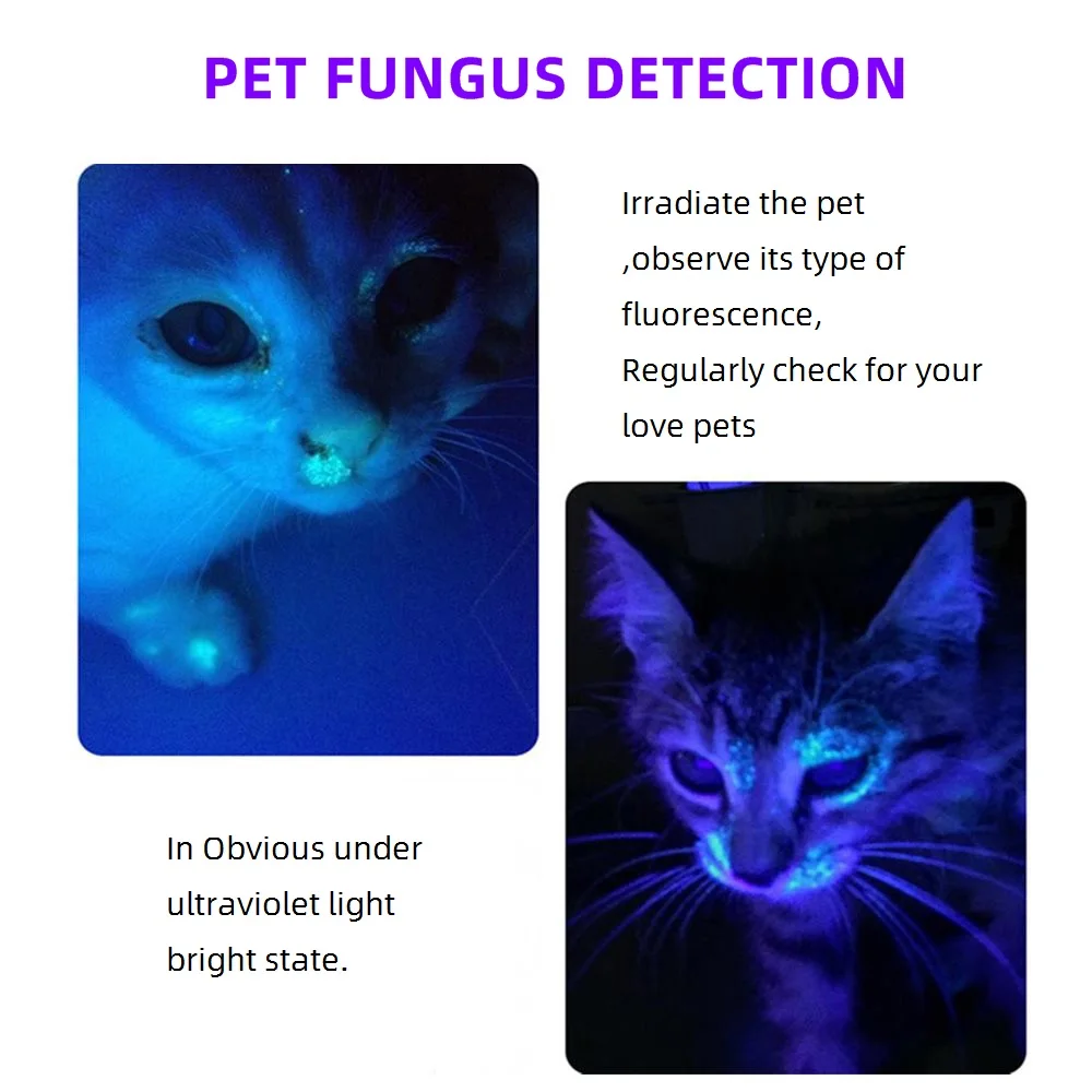 Mini 365nm Led Black Light UV Flashlight Usb Rechargeable Nail Lamp Pet Stain Leakage Marker Ore Money Scorpion Detection Lamp