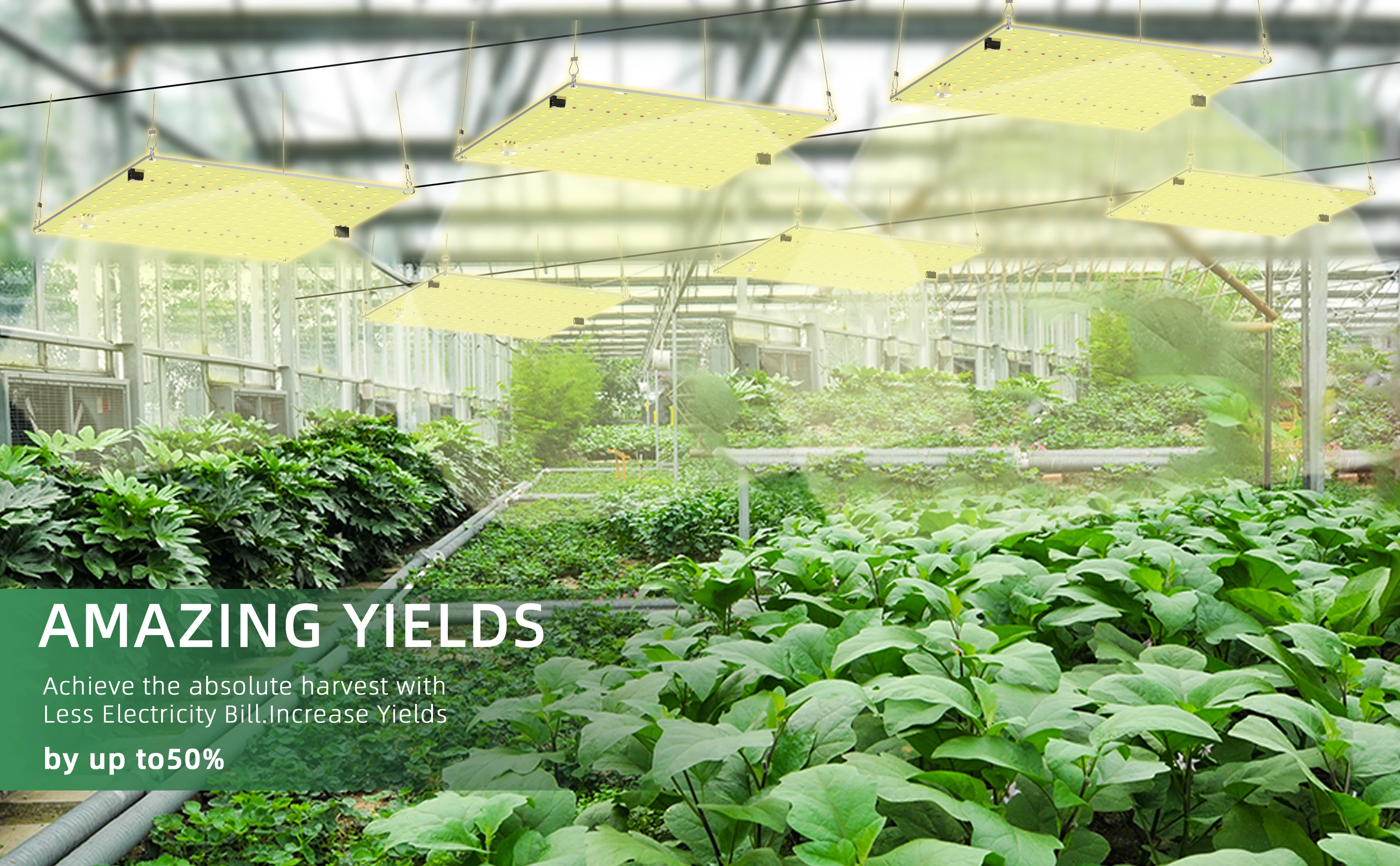 LED Grow Light 850W SM LM281b+ Diodes Quiet Fanless Full Spectrum Grow Light High PPFD For 5x5FT Coverage, Veg and Blooming