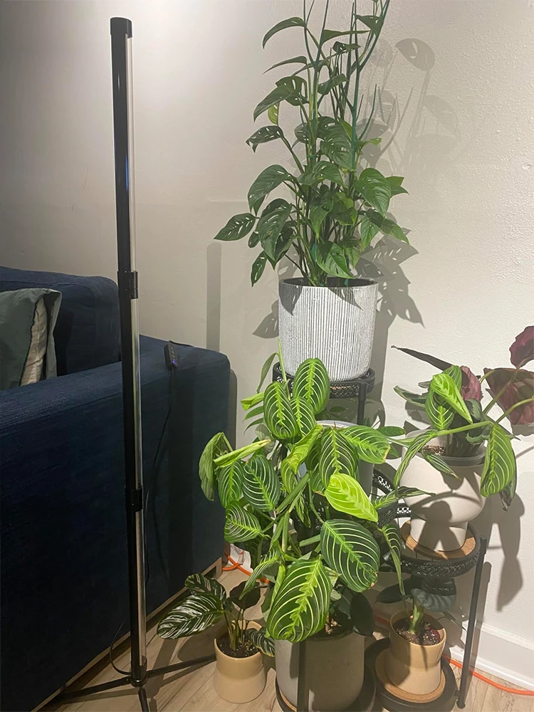 Full Spectrum LED Grow Light Phyto Lamps Plant Growth Lamp For Indoor Flower VEG Seedling Succulent Macrophytes Fitolampy Light