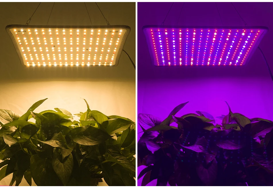 LED Plant Grow Light Full Spectrum Quantum Board Phytolamp Indoor Hydroponics Greenhouse Tent Grow Box Flower Cultivation Lamp