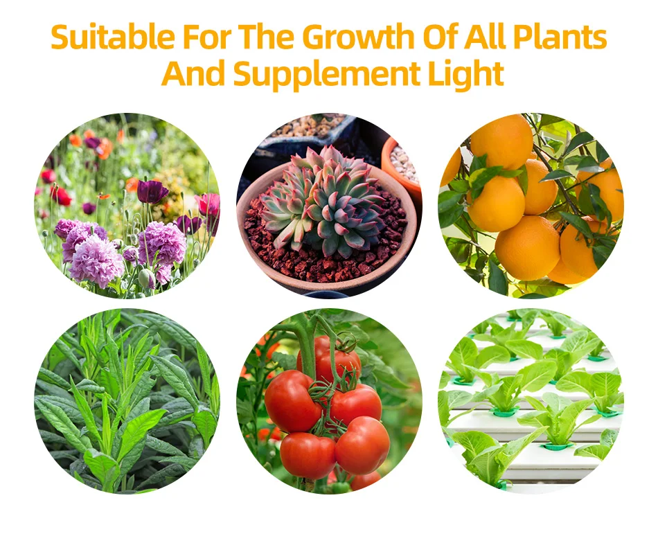 LED Plant Grow Light 81/169 Beads Full Spectrum Hydroponic Growing Lamp Plants Phyto Veg Flower Indoor Ultrathin Panel Phytolamp