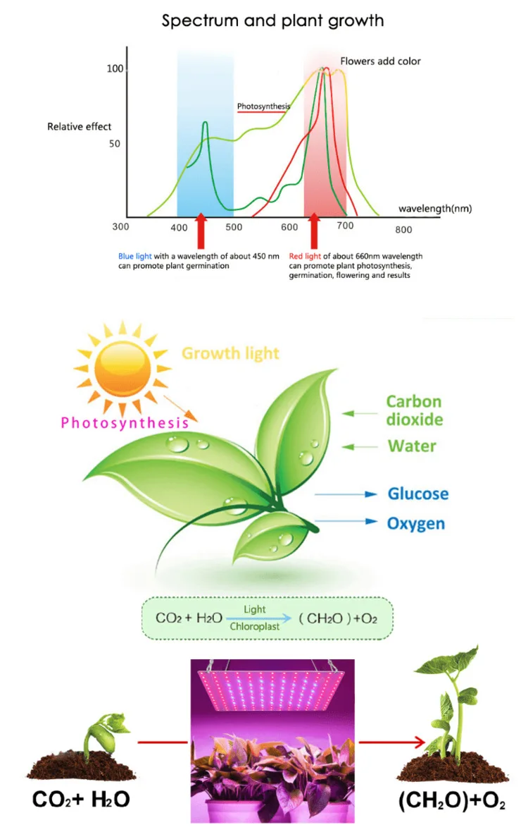 LED Plant Grow Light 81/169 Beads Full Spectrum Hydroponic Growing Lamp Plants Phyto Veg Flower Indoor Ultrathin Panel Phytolamp