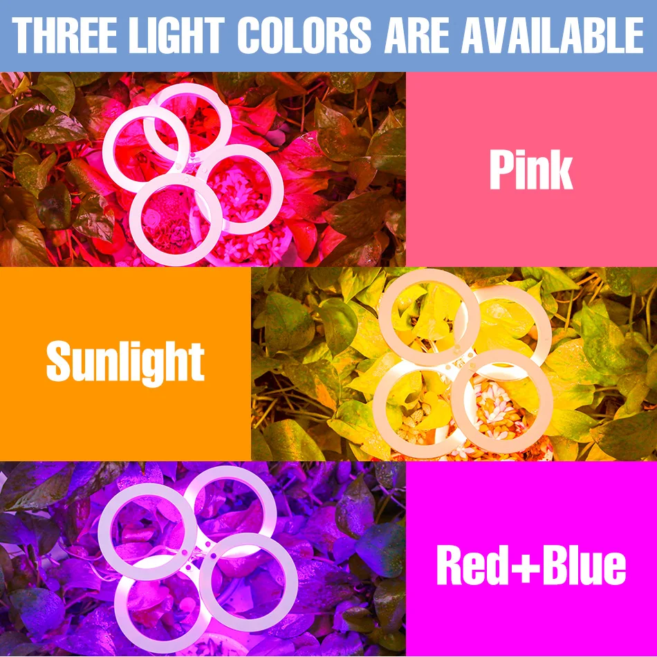 LED Phytolamp Indoor Grow Lights Full Spectrum Hydroponics Plant Lamp For Flower Seeds Cultivation DC5V USB LED Growth Light