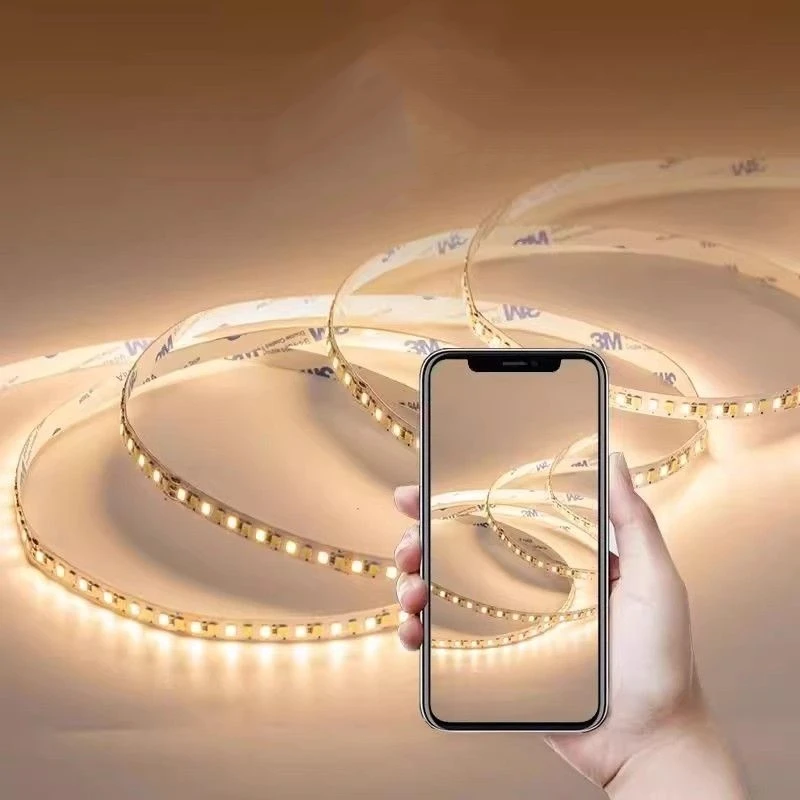 16.5FT 5M 24V Flow LED Strip Track Light Waterproof DC24 SMD2835 For Outdoor Flexible Linear Strip Decorative Backlit Neon Light